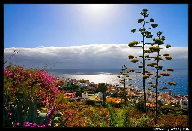 00000018 (6)